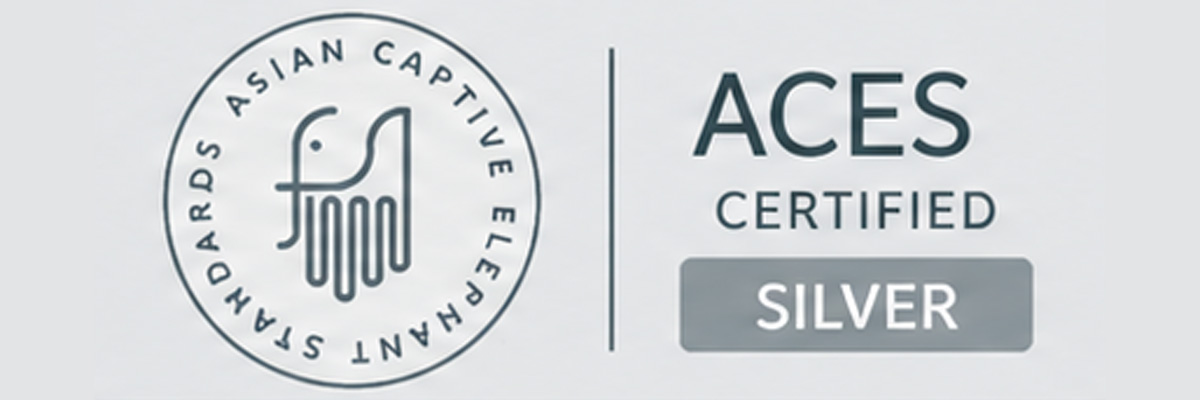 aces silver level