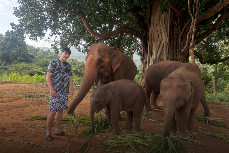 Elephant Sanctuary Chiang Mai: A Responsible and Unforgettable Experience