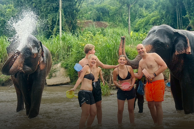 Chiang Mai Elephant Tour: A Journey into Ethical Wildlife Experience