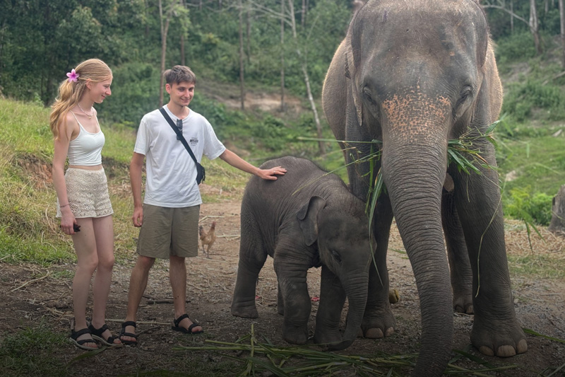Ethical Elephant Experience in Thailand: Travel with Heart