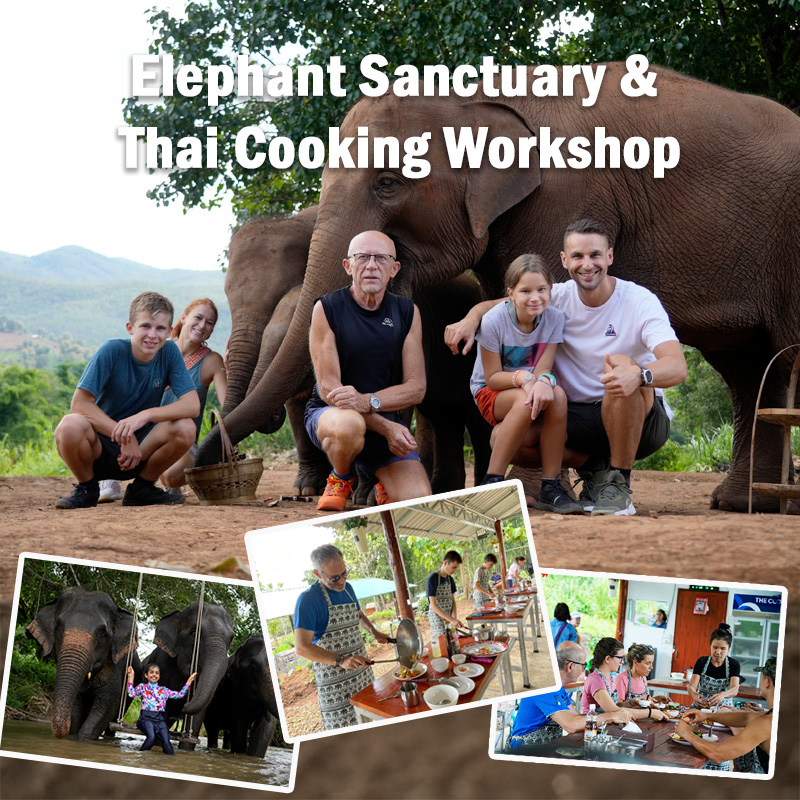Chiang Mai: Elephant Sanctuary & Thai Cooking Workshop