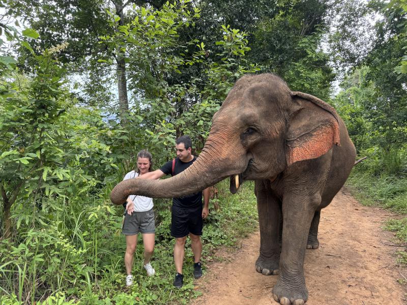 Chiang Mai Morning: Elephant Sanctuary & Waterfall Tour