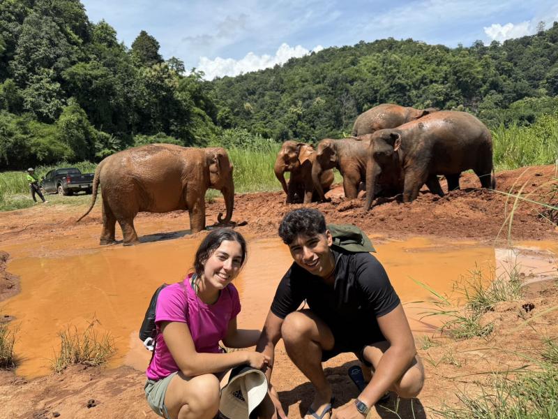 Elephant Sanctuary, Monk Trail & Doi Suthep Tour