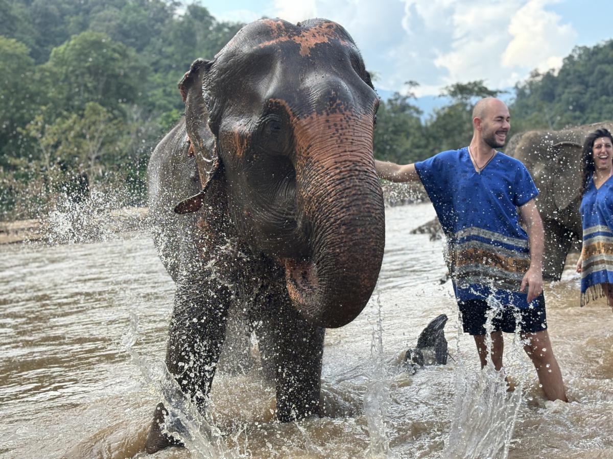 Elephant Sanctuary - Long Neck - Sticky Waterfall Tour : Elephant ...