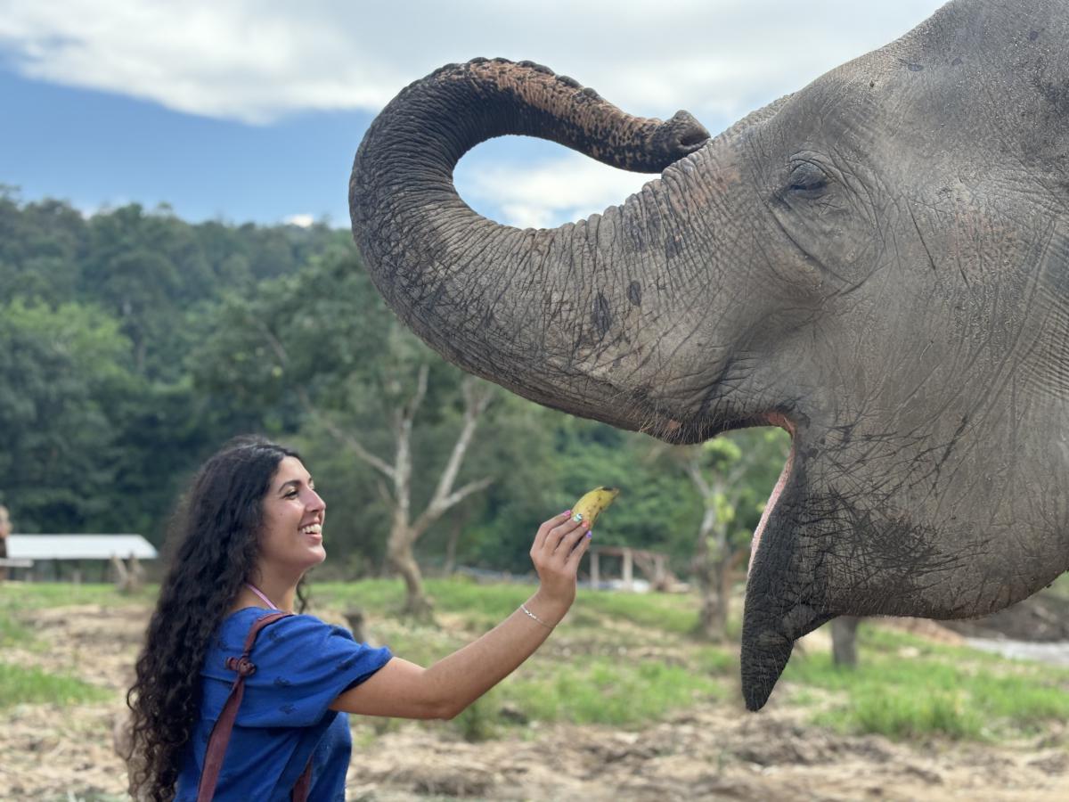 Elephant Sanctuary, Long Neck & Sticky Waterfall Tour : PON ELEPHANT ...