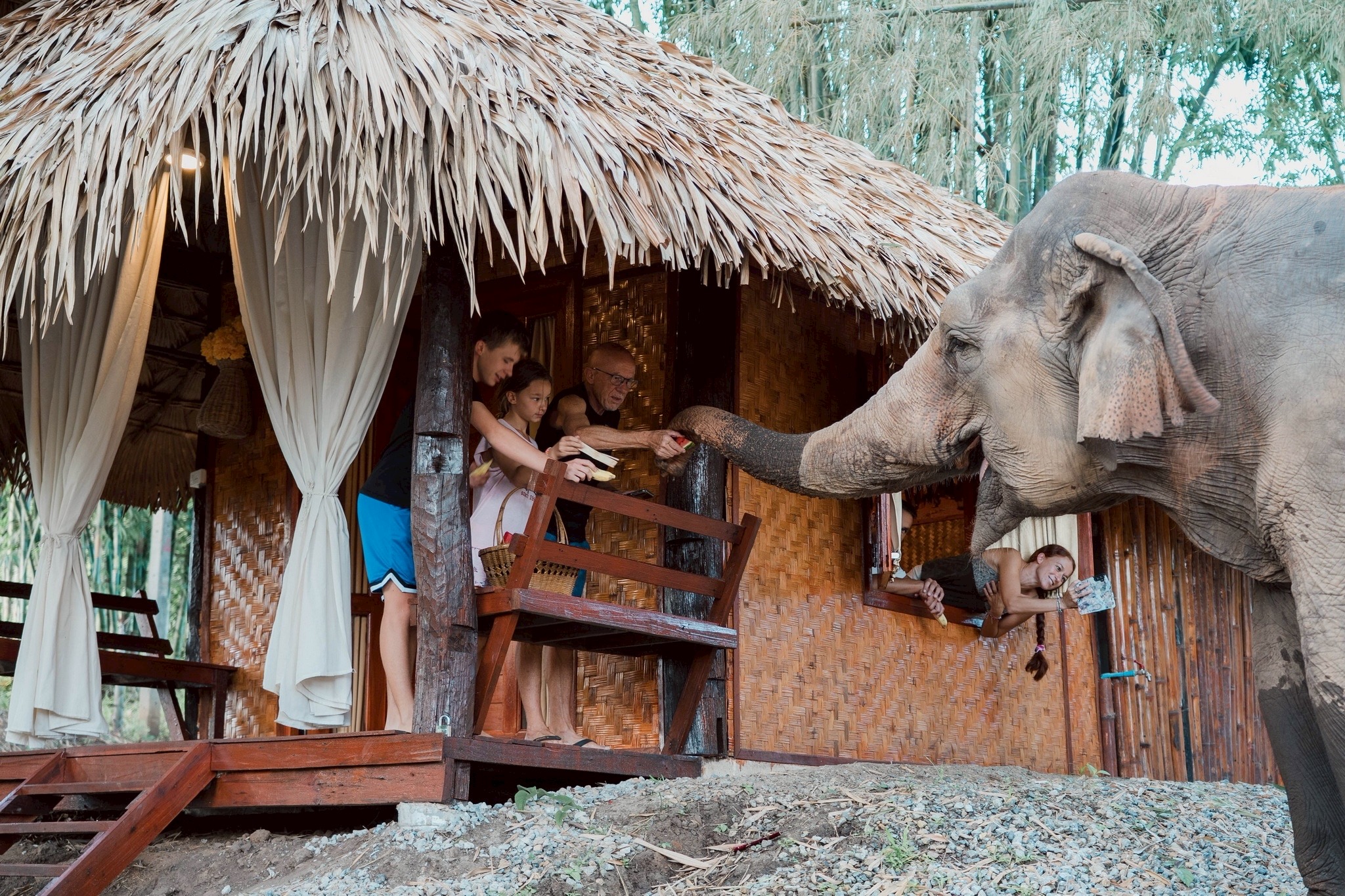 Chiang Mai 2-Day: Good Morning Elephant Trip with Homestay