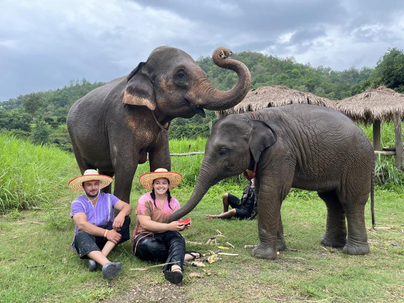 Elephant Sanctuary and Sticky Waterfall Tour. (PON-9)