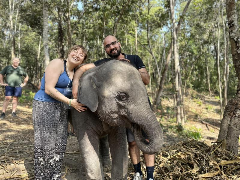 Chiang Mai Afternoon: Elephant Sanctuary & Waterfall Tour (PON-2)